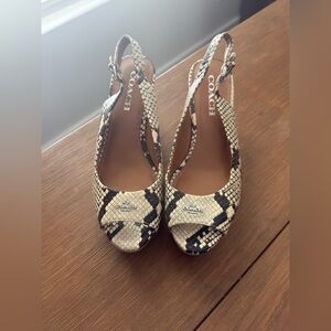 Women's Coach Snakeskin Slingback Wedges - Black and Cream
